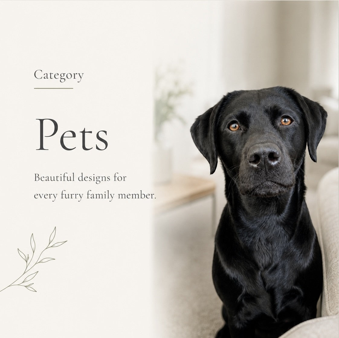 Pets
